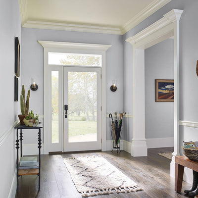 Hippopotamus Gray, COMPLETE COAT Interior/Exterior Paint & Primer in One