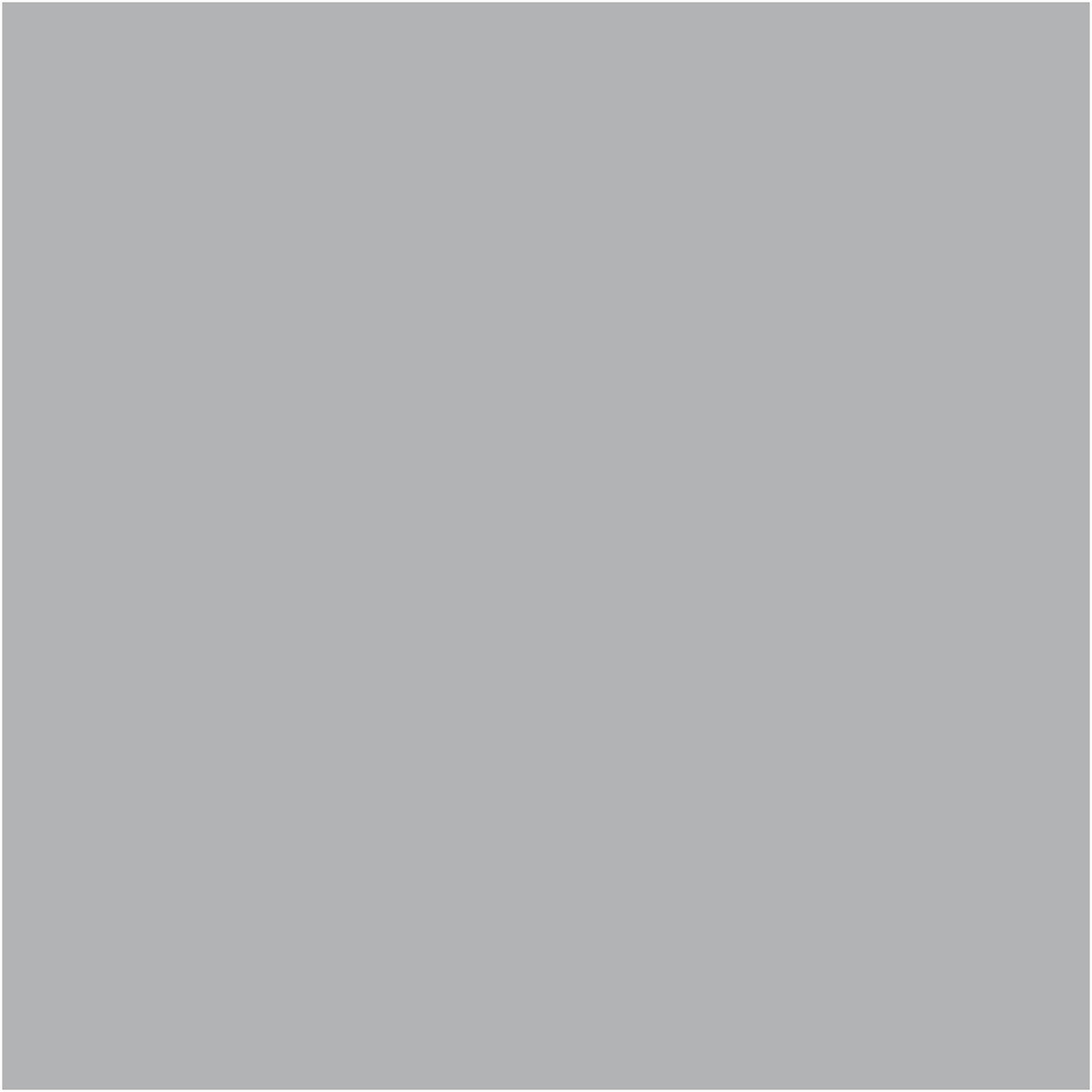 Hippopotamus Gray, COMPLETE COAT Interior/Exterior Paint & Primer in One