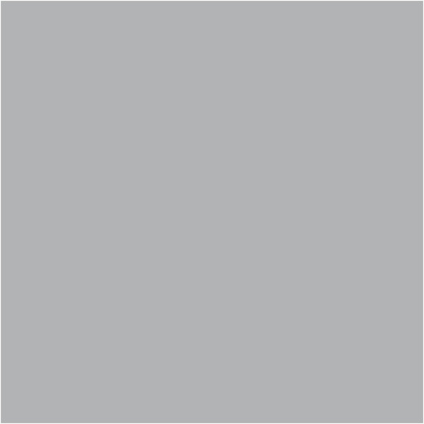 Hippopotamus Gray, COMPLETE COAT Interior/Exterior Paint & Primer in One