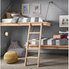 Hippopotamus Gray, COMPLETE COAT Interior/Exterior Paint & Primer in One